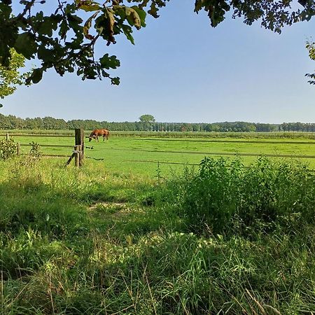 B&B Het Mooie Uitzicht Reuver Exteriér fotografie
