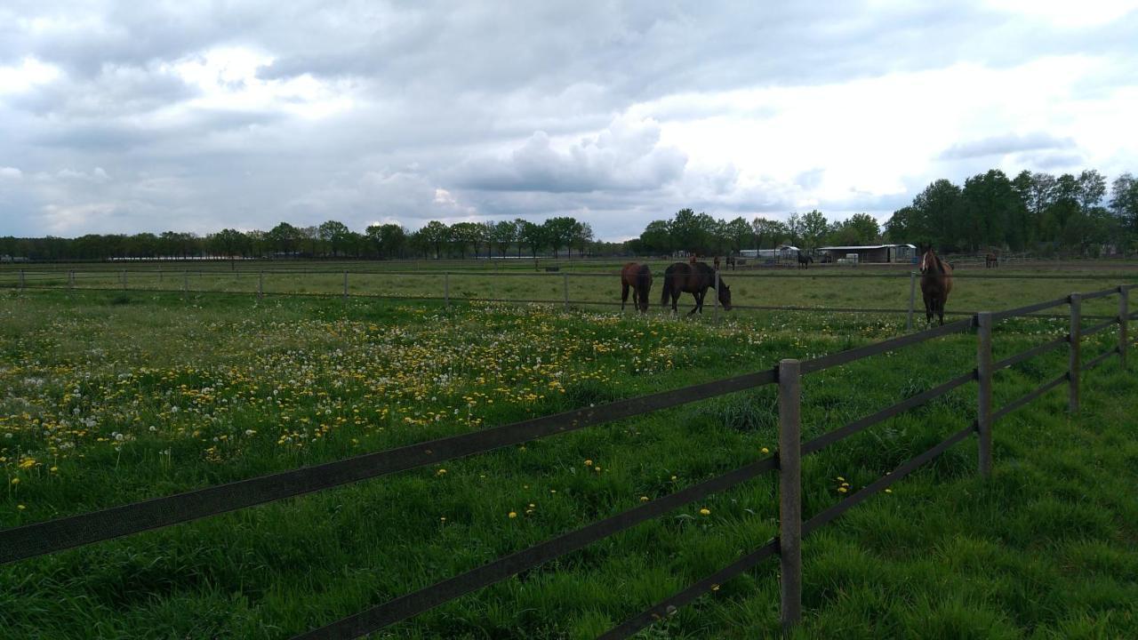 B&B Het Mooie Uitzicht Reuver Exteriér fotografie