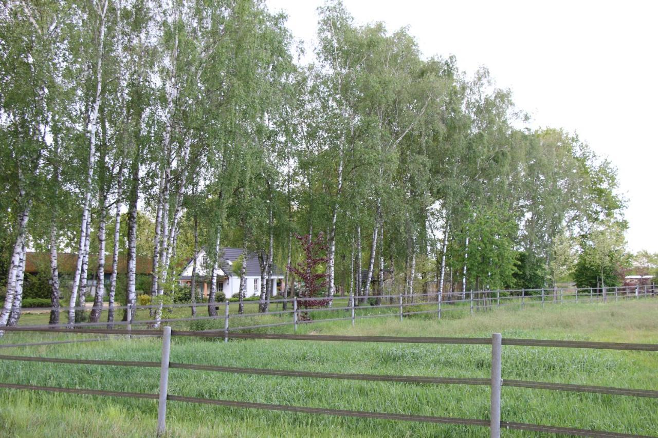 B&B Het Mooie Uitzicht Reuver Exteriér fotografie
