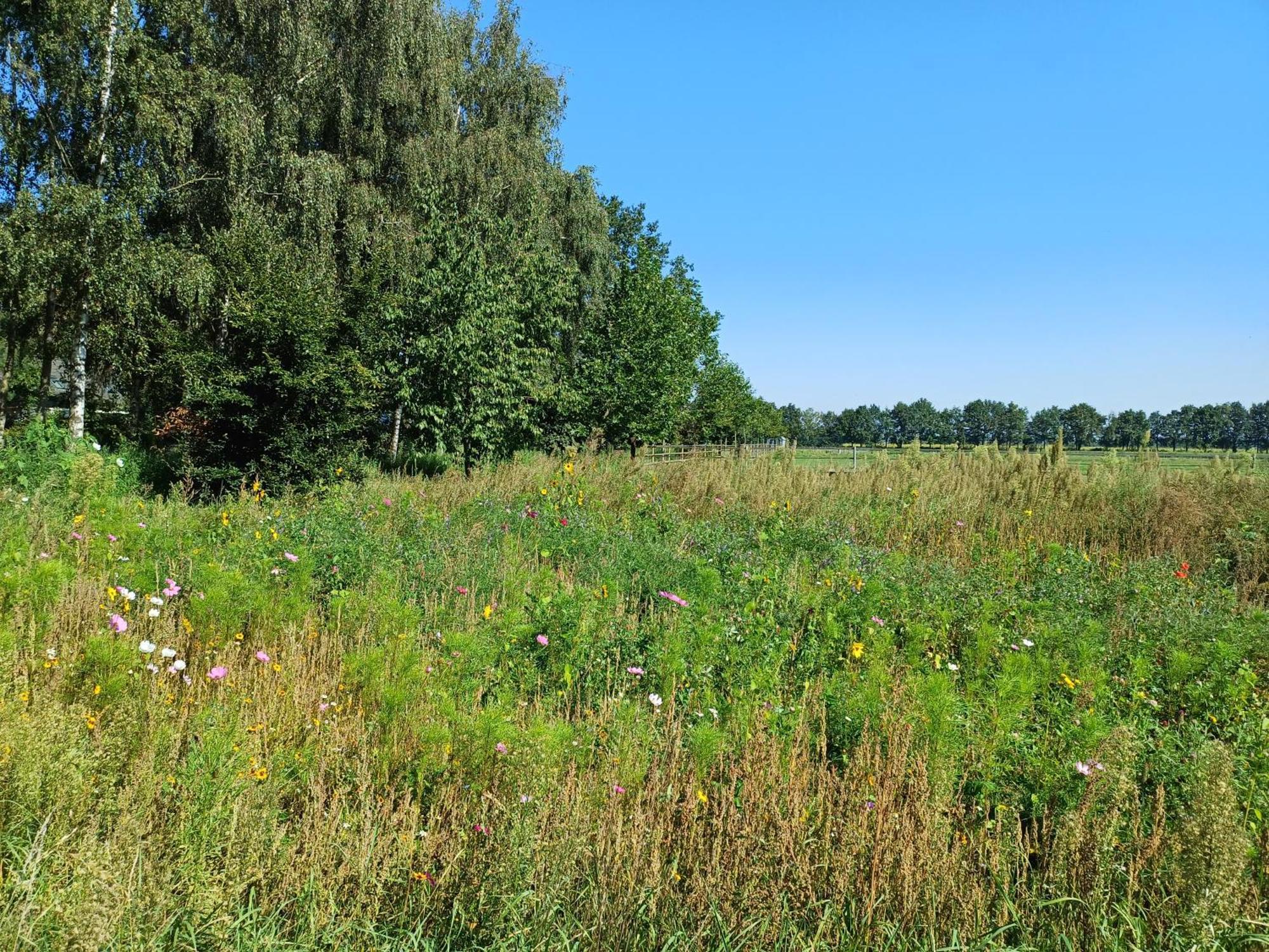 B&B Het Mooie Uitzicht Reuver Exteriér fotografie