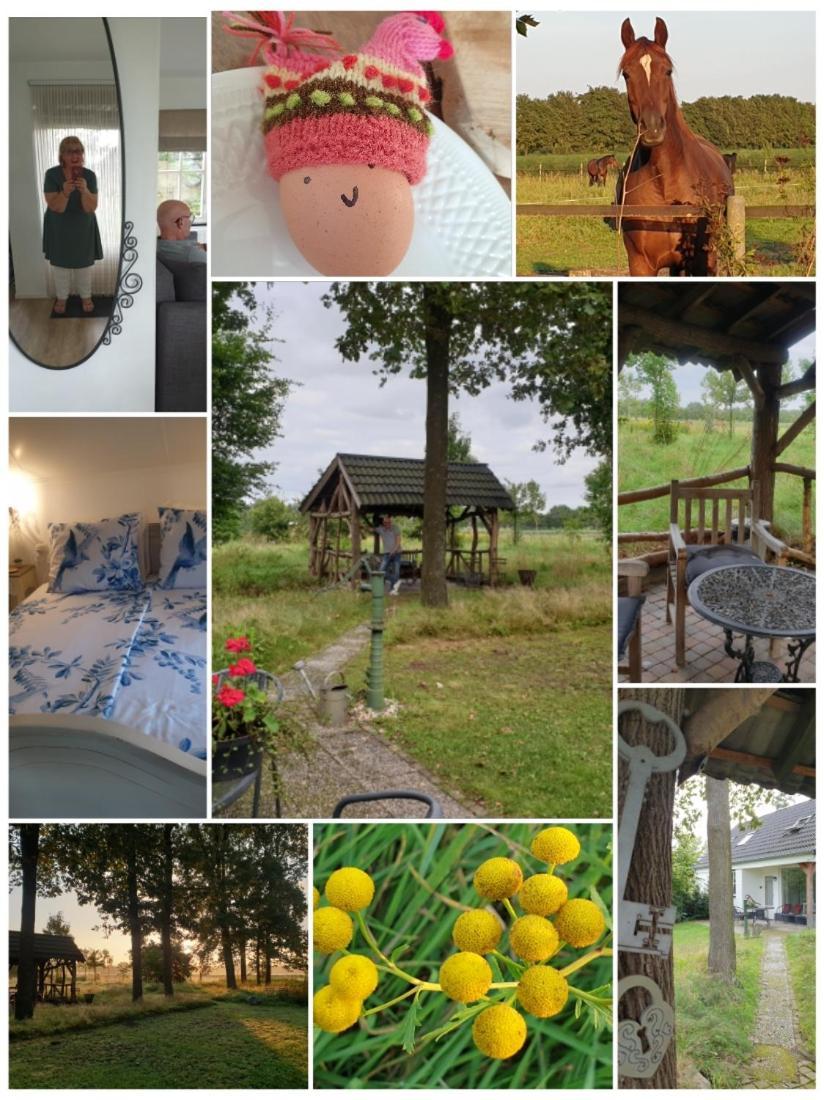 B&B Het Mooie Uitzicht Reuver Exteriér fotografie